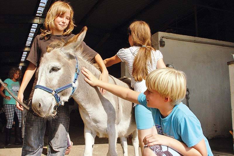 Reinert Ranch, Trebendorf