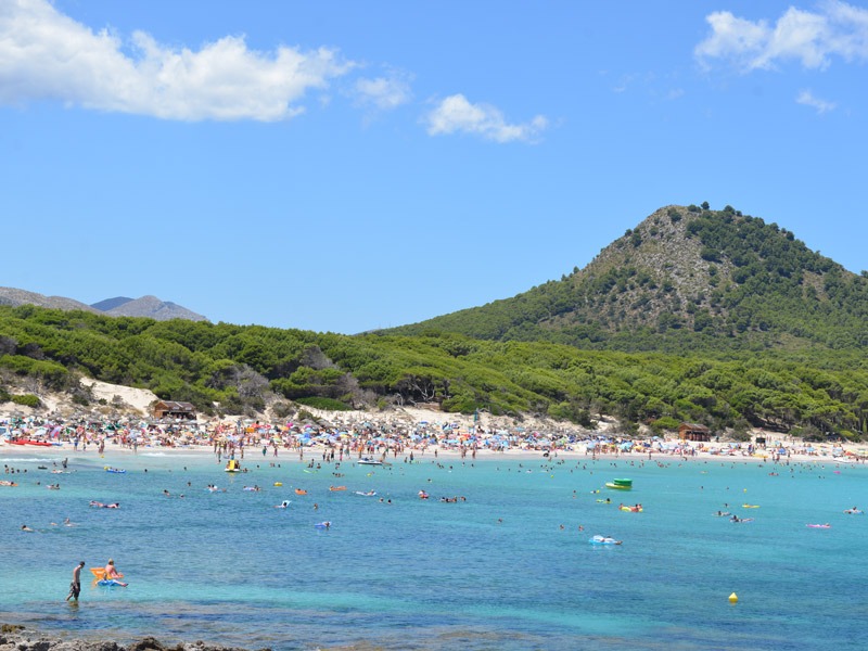 Der Strand von Cala Ratjada